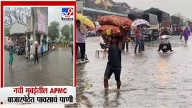 APMC मध्ये पावसाचा धिंगाणा, भाजीपाला भिजला, ग्राहकांना महागाईचा फटका APMC मध्ये पावसाचा धिंगाणा, भाजीपाला भिजला, ग्राहकांना महागाईचा फटका