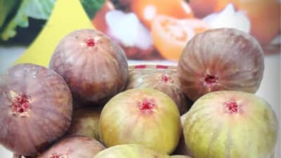 पृथ्वीवरील सर्वात पहिले फळ कोणते? तुम्हाला माहीत आहे का?