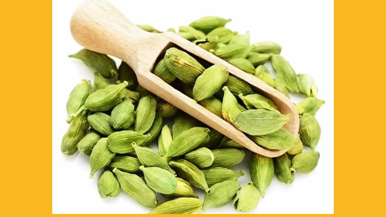 आरोग्यासाठी ही इवलीशी वेलची ठरते अमृत, तज्ञांनी सांगितले याचे आरोग्यदायी फायदे