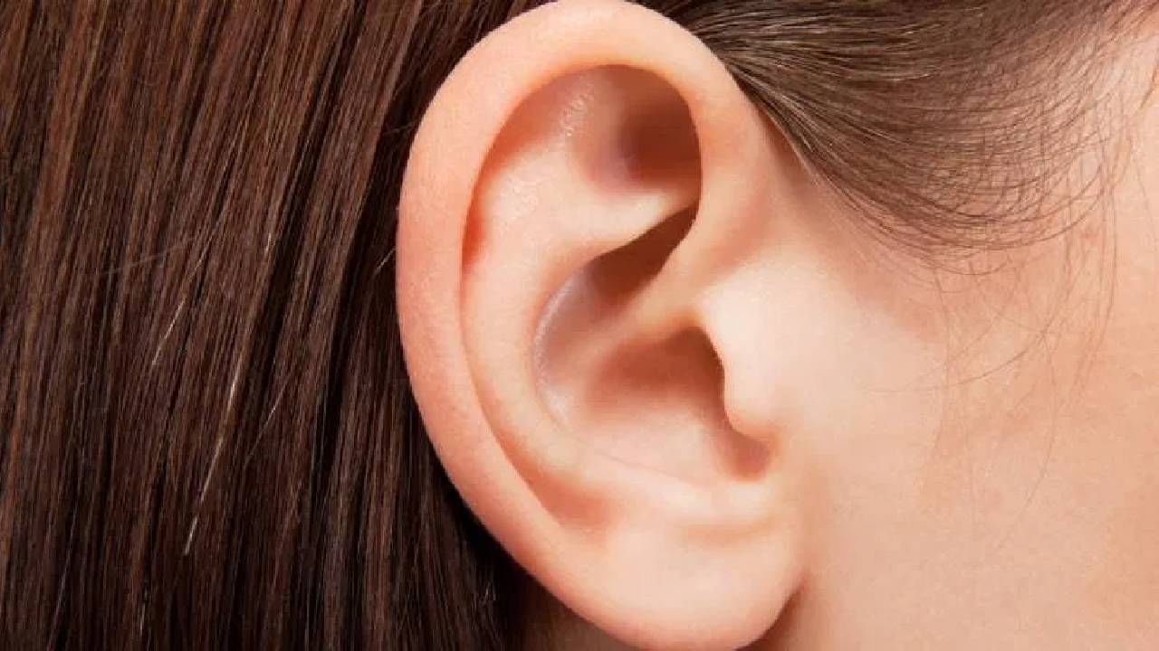 How to Remove Ear Wax: कानातला मळ कसा काढावा? डॉक्टरांकडूनच जाणून घ्या How to Remove Ear Wax: कानातला मळ कसा काढावा? डॉक्टरांकडूनच जाणून घ्या
