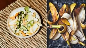 फळांच्या साली खूप उपयुक्त, घरातील कामात त्यांचा असा करा वापर फळांच्या साली खूप उपयुक्त, घरातील कामात त्यांचा असा करा वापर