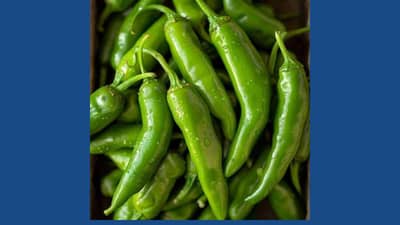 Heart Heath : हिरवी मिर्ची खाल्ल्यामुळे हृदय निरोगी राहाते? जाणून घ्या आरोग्य तज्ञ काय म्हणतात