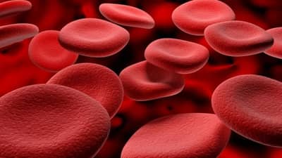 Haemoglobin: आता अनिमियाच्या समस्या होतील दूर, आहारात या गोष्टींचा समावेश करा....