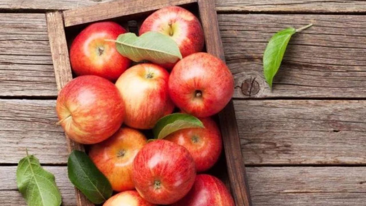 सफरचंदात फायबर असते. सफरचंद खाल्ल्याने पोटात चांगले बॅक्टेरिया वाढतात. त्यामुळे आतडे मजबूत होतात. सकाळी रिकाम्या पोटी नाश्त्यात सफरचंदचे सेवन करा. नाश्त्यात सफरचंद खाल्ल्याने गॅस, पोटफुगी आणि बद्धकोष्ठतेच्या समस्या दूर होतात.