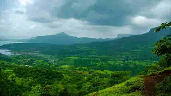 उन्हाळी सुट्टीत बाहेर जाण्याआधी बुकींग करताय? या चुका करू नका, ट्रिपची मजा होईल खराब
