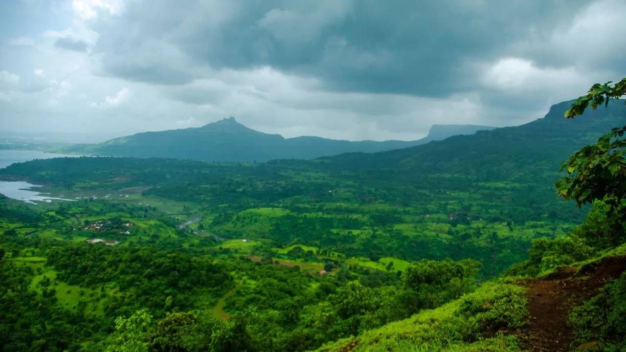 उन्हाळी सुट्टीत बाहेर जाण्याआधी बुकींग करताय? 'या' चुका करू नका, ट्रिपची मजा होईल खराब उन्हाळी सुट्टीत बाहेर जाण्याआधी बुकींग करताय? 'या' चुका करू नका, ट्रिपची मजा होईल खराब