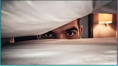 हॉटेलच्या रूममध्ये विचित्र वास, बेडखाली पाहिलं तर लुकलुकले दोन डोळे... त्या रात्री एका मुलीसोबत नेमके काय घडले?