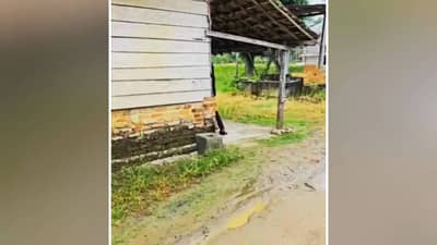 बाहेरून पाहिलं तर झोपडी, आत शिरताच... असं कसं घडलं? लोक का बघताहेत हा Viral Video