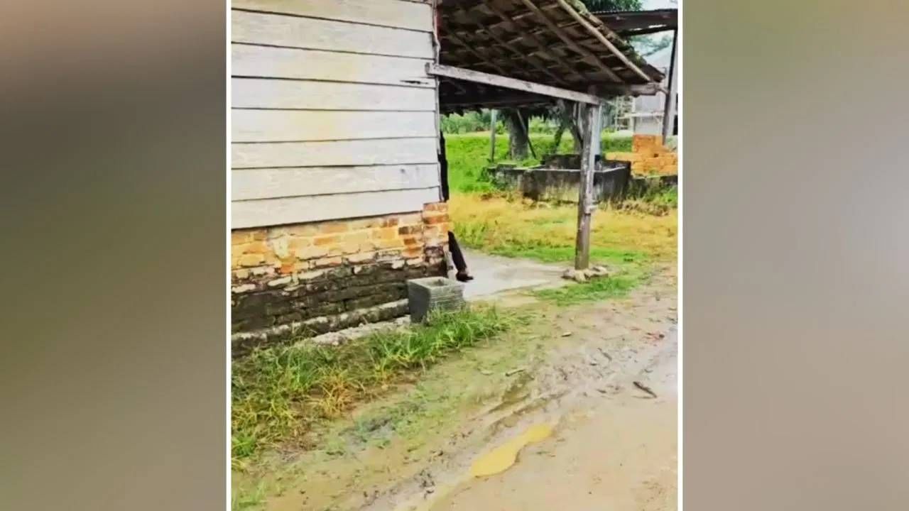 बाहेरून पाहिलं तर झोपडी, आत शिरताच... असं कसं घडलं? लोक का बघताहेत हा Viral Video