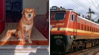 ट्रेनमध्ये कोणते पाळीव प्राणी नेता येतात? भारतीय रेल्वेचे नियम काय.