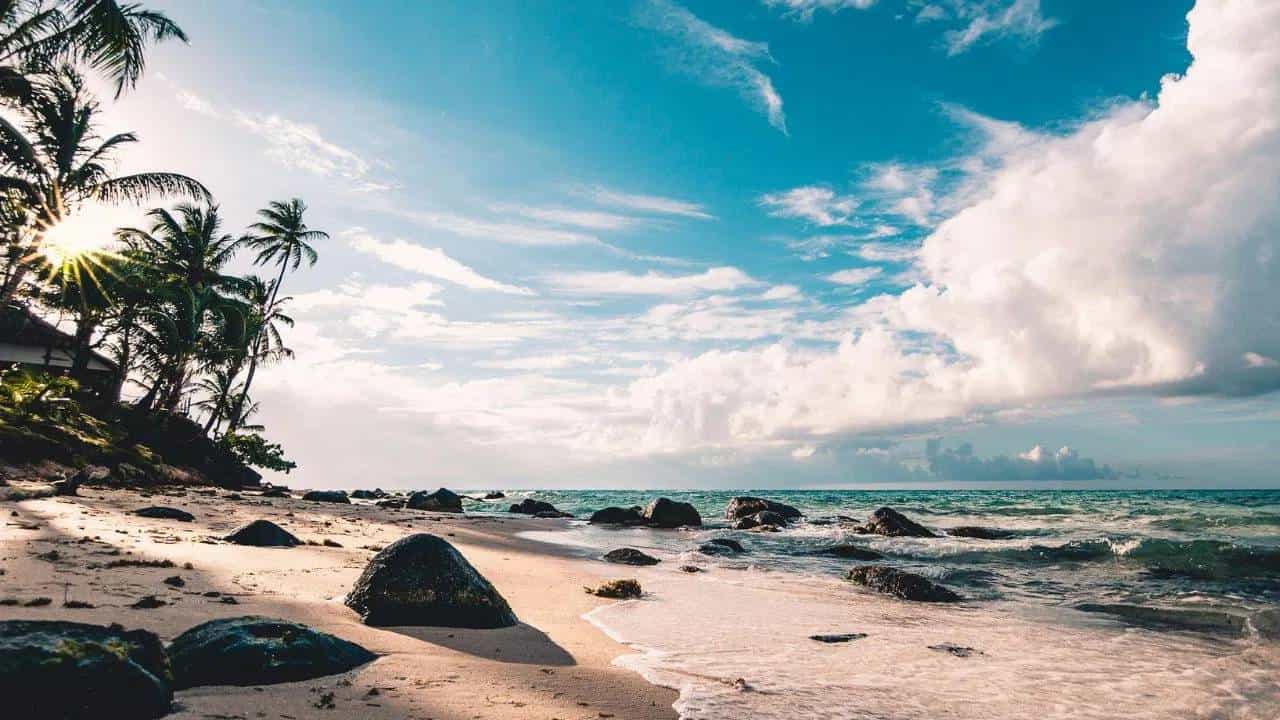 गर्दी कमी पण सौंदर्य भरपूर, केरळच्या या समुद्रकिनाऱ्याला नक्की द्या भेट