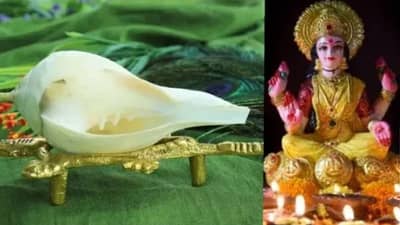 shankhnad importance: लक्ष्मी नारायण पूजा शंखाशिवाय का अपूर्ण मानली जाते? जाणून घ्या शास्त्रीय महत्त्व....