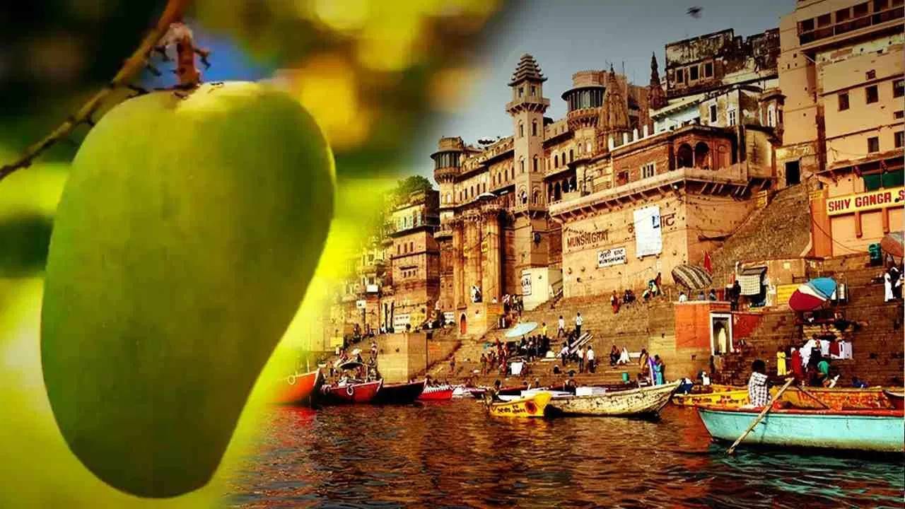‘लंगडा’ आंबा… नाव ऐकून हसू येतं? मग त्यामागचं खरं कारण वाचा! ‘लंगडा’ आंबा… नाव ऐकून हसू येतं? मग त्यामागचं खरं कारण वाचा!