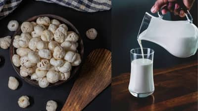 उन्हाळ्यात कच्च्या दुधात भिजवलेले मखाना खाल्ल्यास आरोग्यास कोणते फायदे होतात? जाणून घ्या तज्ञांकडून