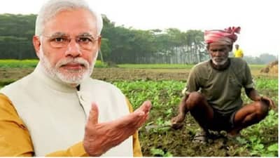 शेतकर्‍यांसाठी आनंदवार्ता, खरीप पिकांवरील MSP मध्ये वाढ, मोदी कॅबिनेटचे 5 मोठे निर्णय काय?