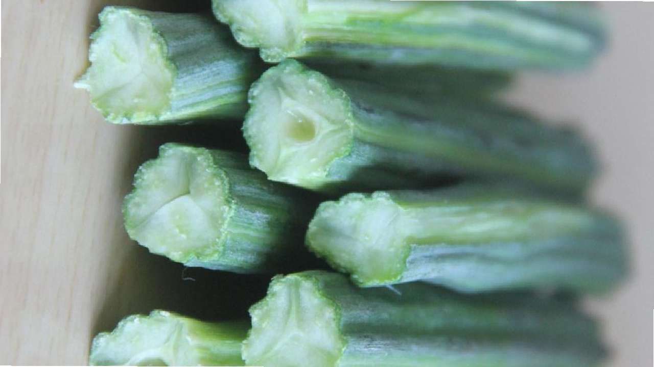 Super Food : जगातील सर्वात ताकदवान भाजी, गुडघेदुखीवर रामबाण उपाय...