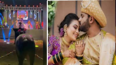 Vaishnavi Hagavane Death Case : घरात सुनांना छळणाऱ्या हगवणेंची जनावरांसाठी उधळपट्टी, चक्क बैलासमोर गौतमी पाटीलला नाचवलं