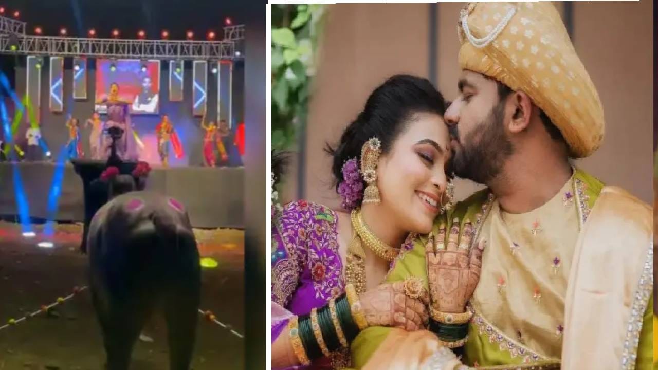 Vaishnavi Hagavane Death Case : घरात सुनांना छळणाऱ्या हगवणेंची जनावरांसाठी उधळपट्टी, चक्क बैलासमोर गौतमी पाटीलला नाचवलं