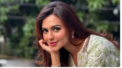 एका बाईसाठी दोन मंत्री भिडले, सरकामध्ये भूकंप, नेमकं प्रकरण काय?