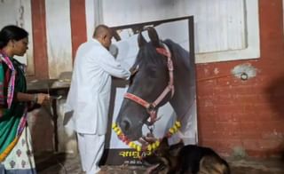 आमचे साधु साहेब निवर्तले...घोड्याच्या मृत्यूनंतर मालकाने बांधली समाधी.