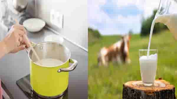 पॅकेटमधील दूध कसे प्यावे उकळून की कच्चे? फायदेशीर काय?