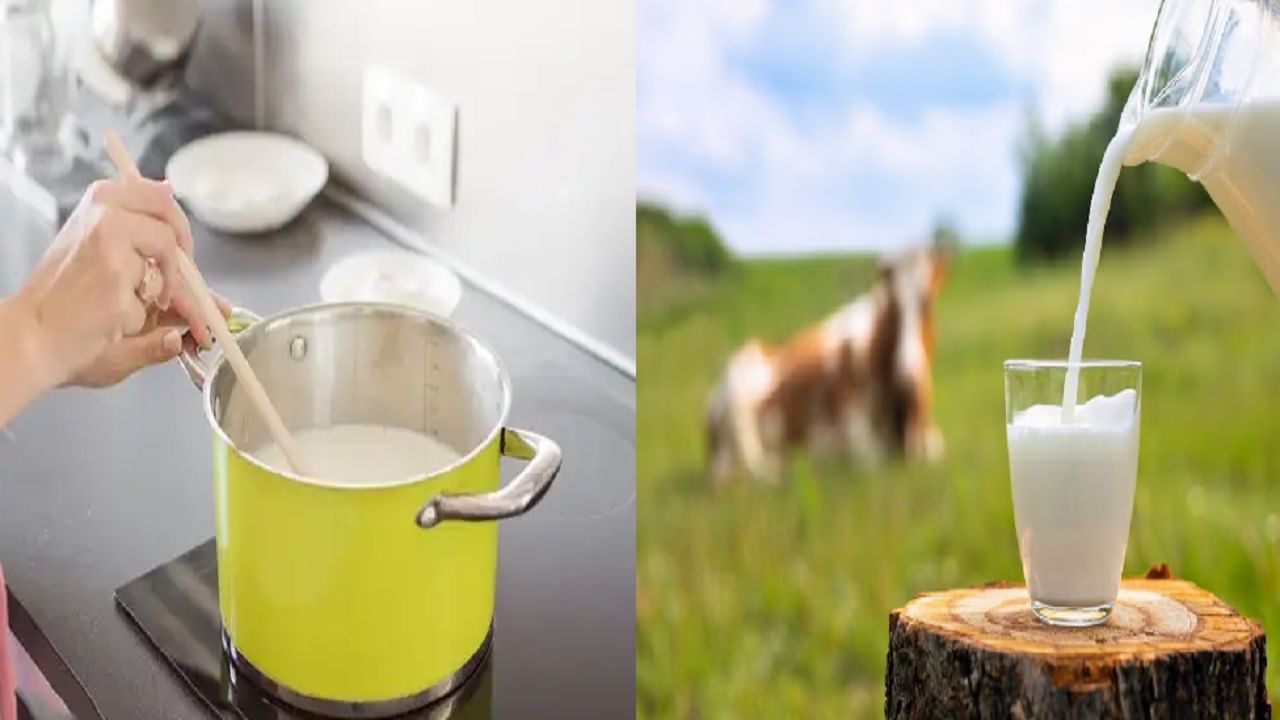 पॅकेटमधील दूध कसे प्यावे उकळून की कच्चे? फायदेशीर काय?
