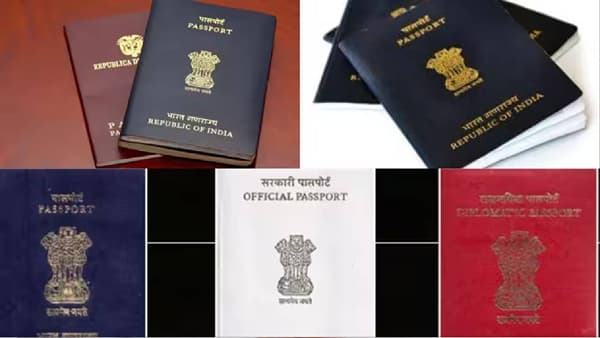 काळा, लाल की निळा ? कोणत्या पासपोर्टला मिळते सर्वात मोठे फायदे?