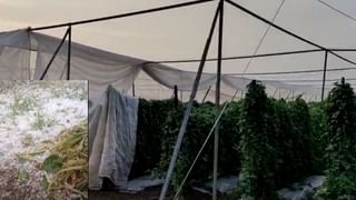 महाराष्ट्रात वादळी वाऱ्यासह गारपीट, आंबा-केळी-द्राक्ष बागांचे नुकसान.
