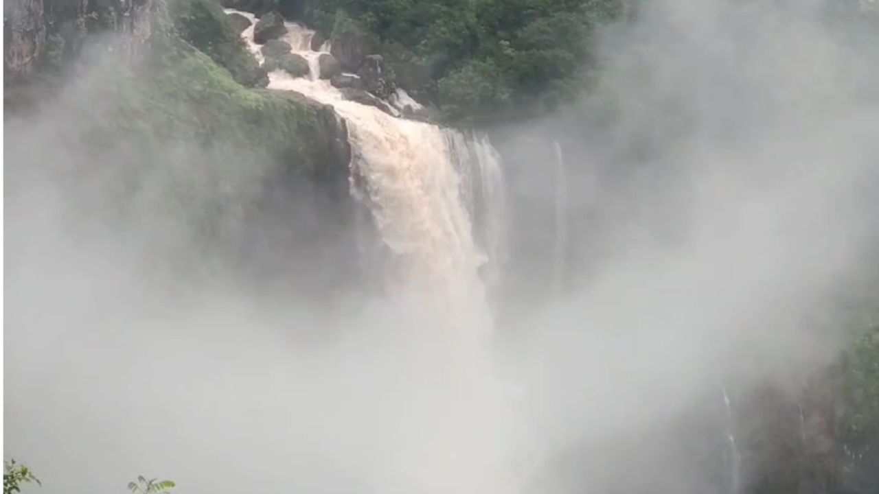 सांगली जिल्ह्यातील चांदोली परिसरात गेल्या आठवड्याभरापासून पावसाची संततधार सुरू आहे. त्यामुळे ओढे नदी नाले भरून वाहू लागले आहेत. धरणाच्या पाणी पातळीत ही वाढ झाली आहे. तसेच आसपासच्या परिसरात छोटे मोठे धबधबे कोसळू लागले आहेत.  डोंगर रांगातील छोटे-मोठे धबधबे प्रवाहित झाले आहेत. 
