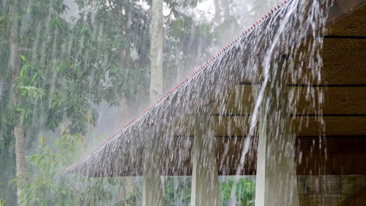 IMD Weather Update : महाराष्ट्राच्या दिशेनं येतय मोठं संकट; उरले फक्त काही तास, 7 जिल्ह्यांना रेड अलर्ट IMD Weather Update : महाराष्ट्राच्या दिशेनं येतय मोठं संकट; उरले फक्त काही तास, 7 जिल्ह्यांना रेड अलर्ट
