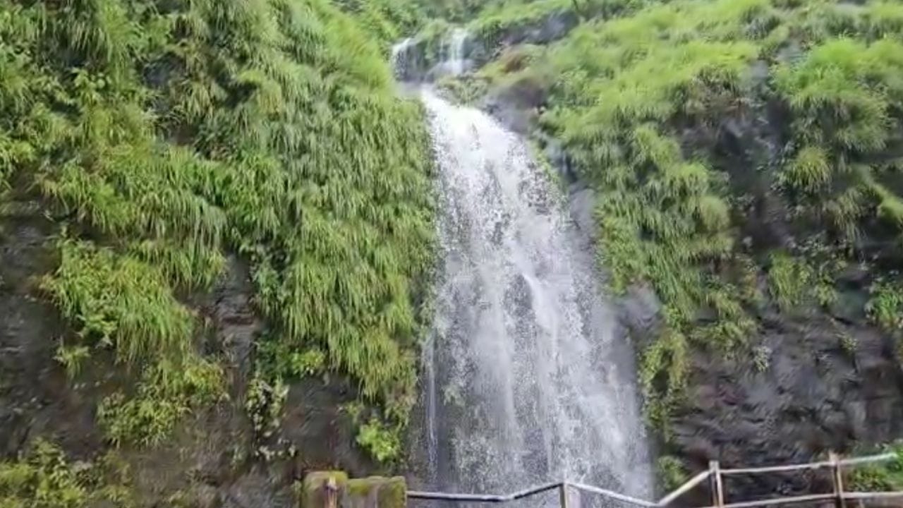 महाराष्ट्राचा मिनी काश्मीर म्हणून महाबळेश्वरची ओळख आहे. महाबळेश्वरमध्ये विक्रमी पाऊस पडला आहे. रविवारी रात्री 25 मिलिमीटर पाऊस पडल्याची नोंद झाली आहे. तसेच सोमवारीही महाबळेश्वर तालुक्यामध्ये मोठ्या प्रमाणात पावसाचा जोर वाढला आहे. यामुळे येथील वेण्णा नदीवरील लिंगमळा धबधबा ओसांडून वाहू लागला आहे. 