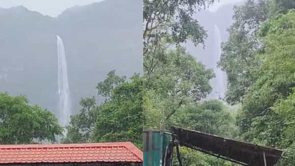 सातारा कोयना धरण पाणलोट क्षेत्रात अवकाळी मान्सूनपूर्व संततधार पाऊस पडत आहे. या पावसामुळे ओझर्डे धबधबा वाहू लागला आहे. आजपर्यंतच्या इतिहासात मे महिन्यात पहिल्यांदाच हा धबधबा प्रवाहित झाला आहे.