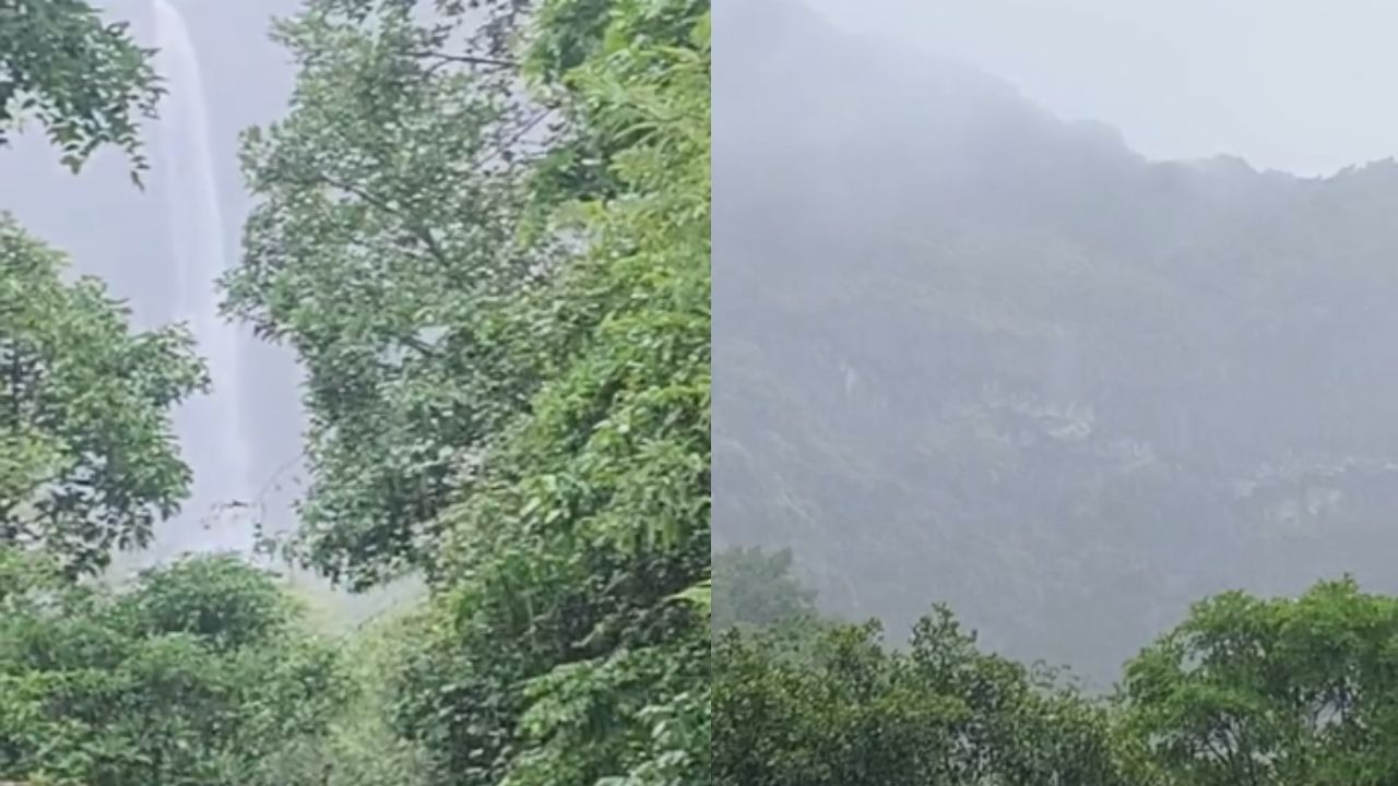 ओझर्डे धबधब्याच्या परिसरात स्काय वॉकची योजना आहे. या प्रकल्पामुळे पर्यटकांना धबधब्याचे मनमुराद सौंदर्य अनुभवता येणार आहे. तसेच कोयना परिसरातील निसर्गाची अनुभूती सर्व पर्यटकांना घेता येणार आहे. 