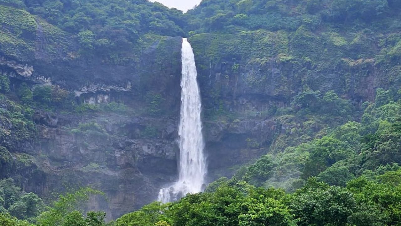 साताऱ्यात पडत असलेल्या पावसामुळे शेतात पाणी साचले आहे. नदी नाल्यांच्या पाण्यात वाढ झाली आहे. पावसामुळे धुळवाफ  पेरण्यांसह पेरणीपूर्व मशागतीची कामे राखडली आहे. जून, जुलै सारखा जिरवणीचा पाऊस पडत असल्याने पेरणीपूर्व मशागतीसाठी शेतकऱ्यांना वेळ मिळणार नाही.