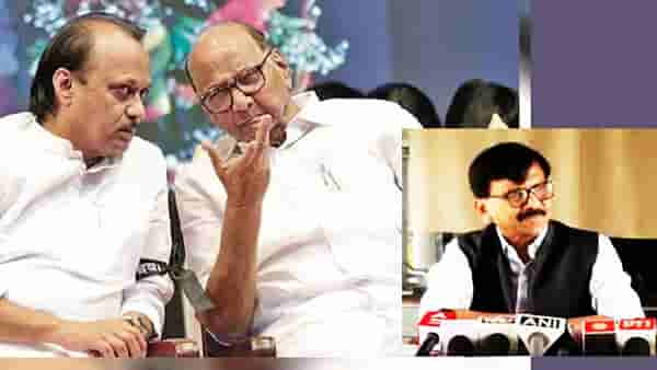 Sanjay Raut : दोन्ही राष्ट्रवादी एकत्र येण्याला कुणाचा खोडा? संजय राऊतांचा काय तो दावा, ते दोन नेते तरी कोण? एकच खळबळ