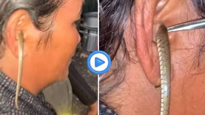 Video: महिलेच्या कानात शिरला साप, थरकाप उडवणारा व्हिडीओ सोशल मीडियावर चर्चेत