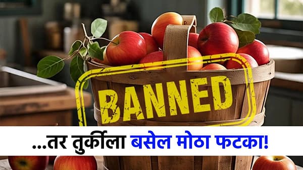 ...तर तुर्कीचा खेळ खल्लास, भारताच्या या छोट्या निर्णयानं पाकिस्तानच्या मित्राचा गेम झालाच म्हणून समजा!