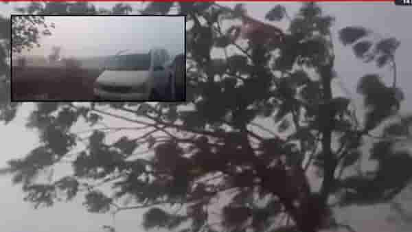 Unseasonal Rain : जोरदार वारा, पावसाचा तडाखा; फळबागांना नुकसान