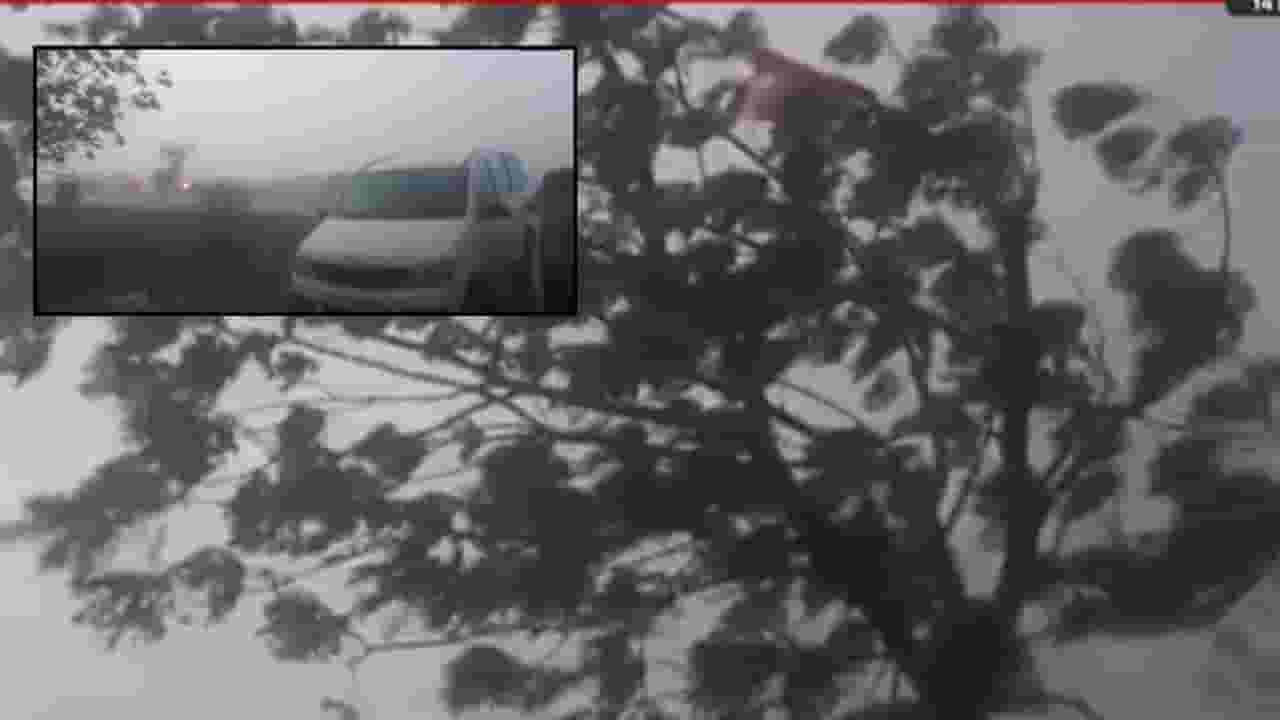 Unseasonal Rain : जोरदार वारा, पावसाचा तडाखा; फळबागांना नुकसान Unseasonal Rain : जोरदार वारा, पावसाचा तडाखा; फळबागांना नुकसान