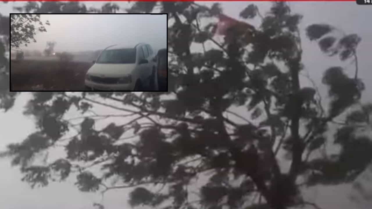 Unseasonal Rain : जोरदार वारा, पावसाचा तडाखा; फळबागांना नुकसान Unseasonal Rain : जोरदार वारा, पावसाचा तडाखा; फळबागांना नुकसान