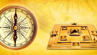 vastu tips: घरातील सकारात्मकता वाढवण्यासाठी कोणते झाडे फायदेशीर ठरतील, जाणून घ्या...