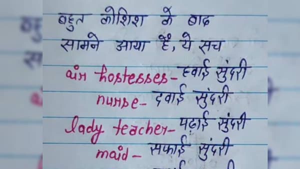 एअर होस्टेस हवाई सुंदरी, नर्स दवाई सुंदरी तर बायको...? तरुणाचा मजेदार अनुवाद; लैच भारी पत्र व्हायरल