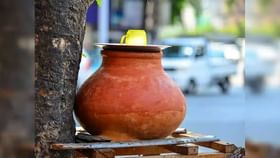 स्वयंपाकघरातील दक्षिण दिशेला पाण्याचं मडक ठेवल्यामुळे काय होते?.