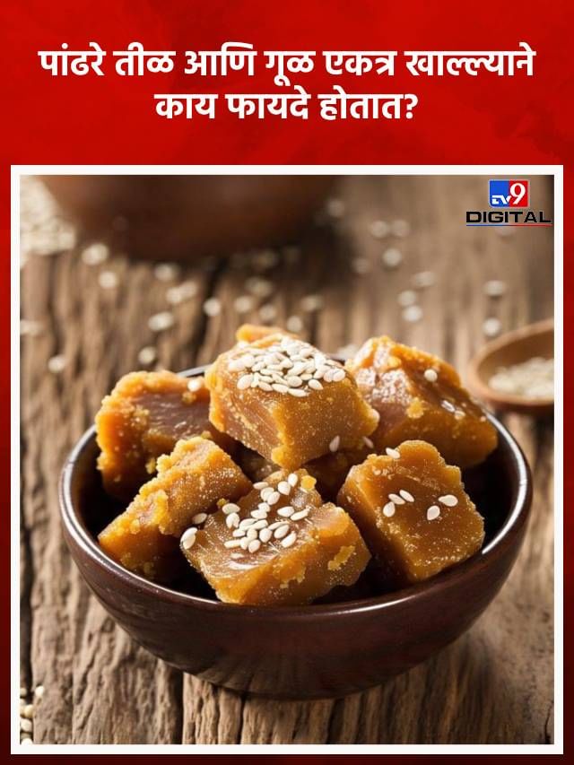 पांढरे तीळ आणि गूळ एकत्र खाल्ल्याने काय फायदे होतात? पांढरे तीळ आणि गूळ एकत्र खाल्ल्याने काय फायदे होतात?