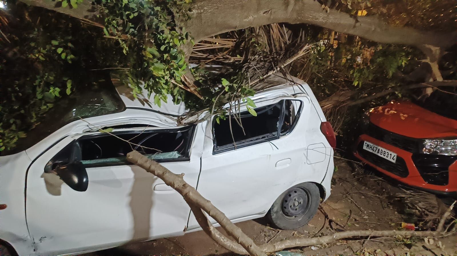 मध्य रेल्वेच्या अधिकाऱ्यांच्या मते, जोरदार वारा आणि पावसामुळे ओव्हरहेड वायर्स ट्रीपिंगच्या समस्या उद्भवत आहे.