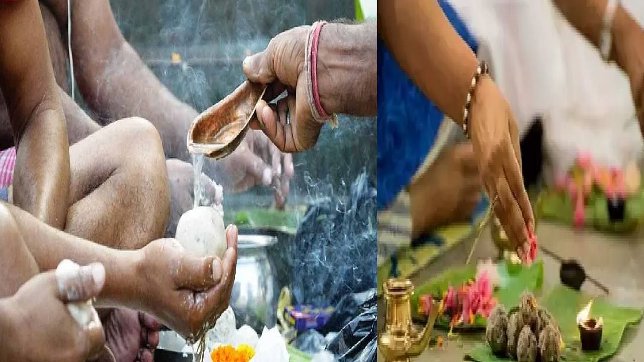 aishakh Amavasya: पितृदोष दूर करण्यासाठी काही विशेष उपाय करा ट्राय