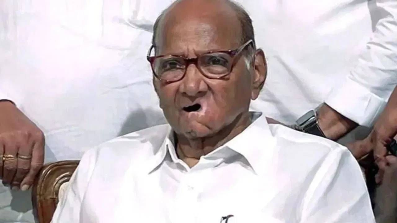 'हा' पक्ष सोडून इतर कोणत्याही पक्षासोबत राष्ट्रवादी शरद पवार गटाची युती? मोठी बातमी समोर 'हा' पक्ष सोडून इतर कोणत्याही पक्षासोबत राष्ट्रवादी शरद पवार गटाची युती? मोठी बातमी समोर