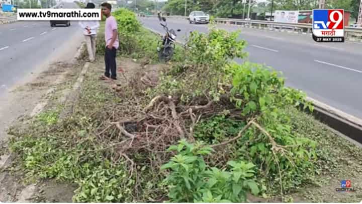 Beed News : अपघातात फसलेल्या वाहनाची मदत करणाऱ्या 6 तरुणांना आयशरने चिरडले Beed News : अपघातात फसलेल्या वाहनाची मदत करणाऱ्या 6 तरुणांना आयशरने चिरडले