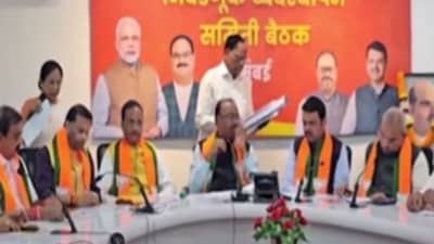 BJP News : भाकरी फिरली! भाजपकडून राज्यात मोठे संघटनात्मक बदल