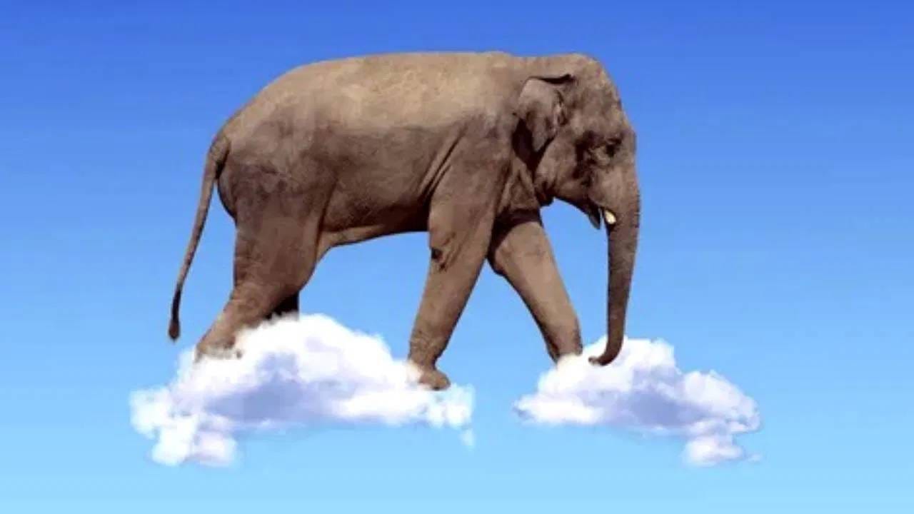 हे ढग हवेत तरंगत असल्याने ते सहसा हलके दिसतात, परंतु प्रत्यक्षात त्यांचे वजन खूप जास्त असते. आश्चर्याची गोष्ट म्हणजे, ढगाचे सरासरी वजन सुमारे 1.1 मिलियन पौंड किंवा सुमारे 450 हजार किलोग्रॅम असते. जे सुमारे 100 हत्तींच्या वजनाइतके आहे.